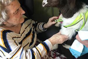 Farm animals bring smiles to elderly residents’ faces