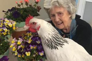 chicken whisperer Irene