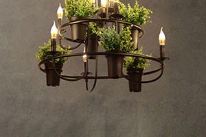 Interior landscaping in a care home - plants and chandelier